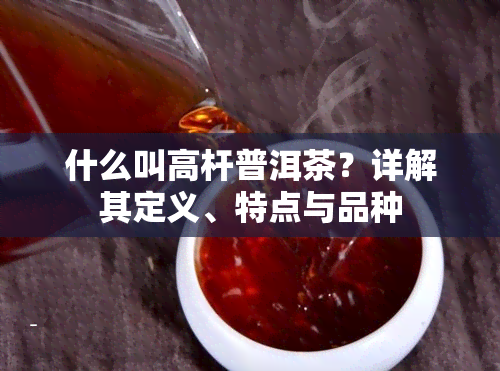 什么叫高杆普洱茶？详解其定义、特点与品种