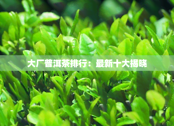 大厂普洱茶排行：最新十大揭晓