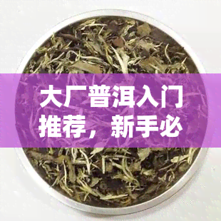 大厂普洱入门推荐，新手必备：大厂普洱茶入门推荐