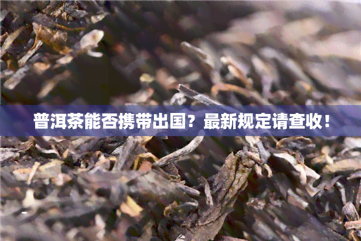 普洱茶能否携带出国？最新规定请查收！