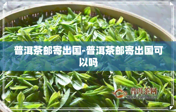 普洱茶邮寄出国-普洱茶邮寄出国可以吗