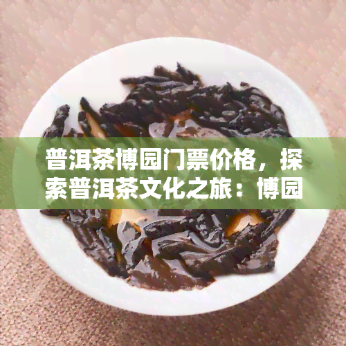 普洱茶博园门票价格，探索普洱茶文化之旅：博园门票价格全览