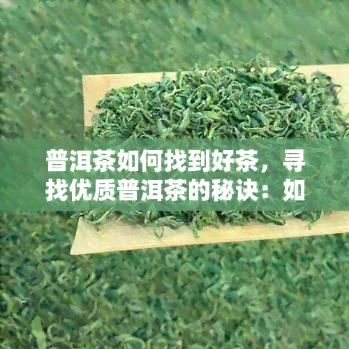 普洱茶如何找到好茶，寻找优质普洱茶的秘诀：如何鉴别和挑选好茶？