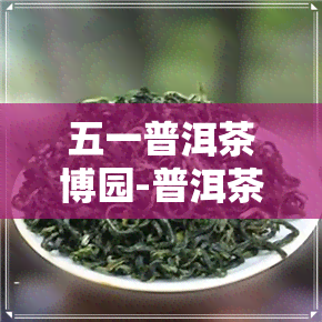 五一普洱茶博园-普洱茶博园门票