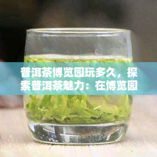 普洱茶博览园玩多久，探索普洱茶魅力：在博览园游玩的时长