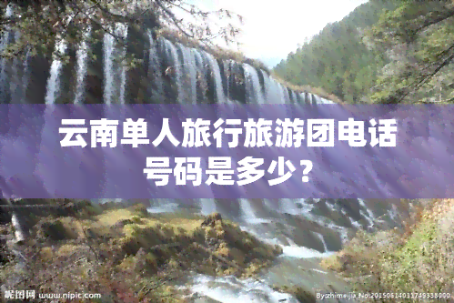 云南单人旅行旅游团电话号码是多少？