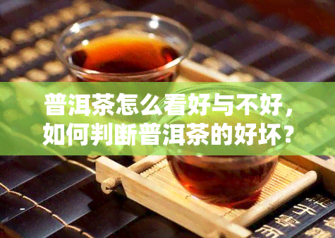 普洱茶怎么看好与不好，如何判断普洱茶的好坏？看这里！