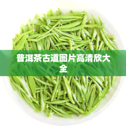 普洱茶古道图片高清欣大全