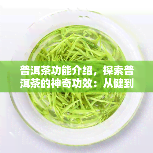 普洱茶功能介绍，探索普洱茶的神奇功效：从健到美味，一网打尽