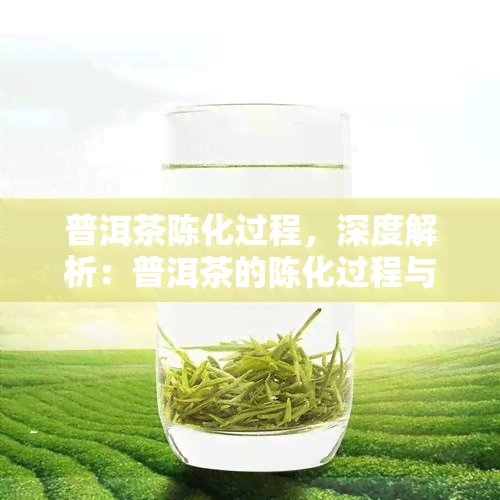 普洱茶陈化过程，深度解析：普洱茶的陈化过程与口感变化