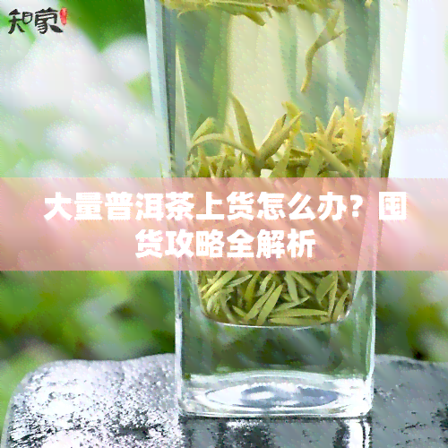 大量普洱茶上货怎么办？囤货攻略全解析