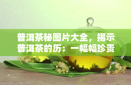 普洱茶秘图片大全，揭示普洱茶的历：一幅幅珍贵的秘图片大全