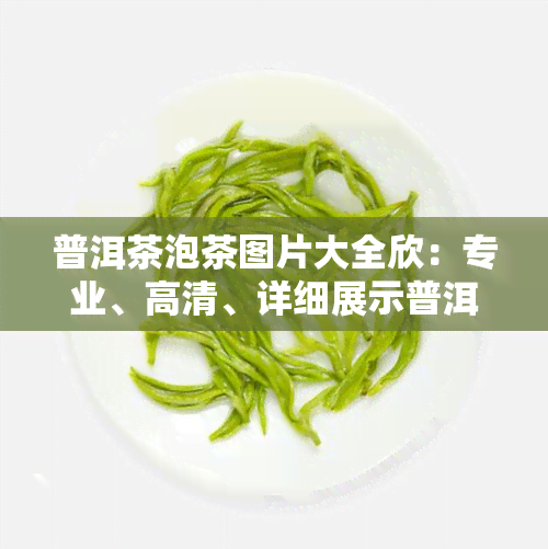 普洱茶泡茶图片大全欣：专业、高清、详细展示普洱茶泡制过程与技巧