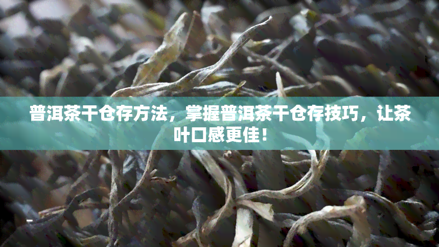 普洱茶干仓存方法，掌握普洱茶干仓存技巧，让茶叶口感更佳！