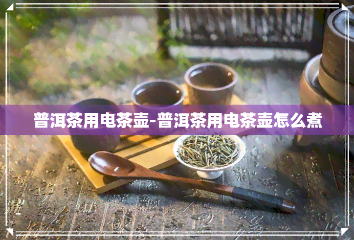 普洱茶用电茶壶-普洱茶用电茶壶怎么煮