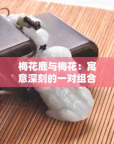 梅花鹿与梅花：寓意深刻的一对组合