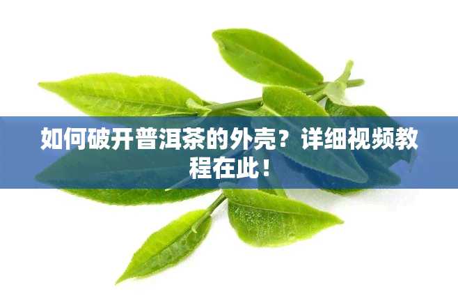 如何破开普洱茶的外壳？详细视频教程在此！