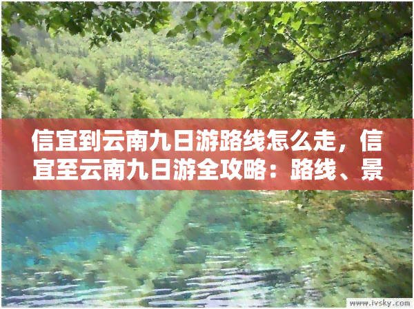 信宜到云南九日游路线怎么走，信宜至云南九日游全攻略：路线、景点及注意事项