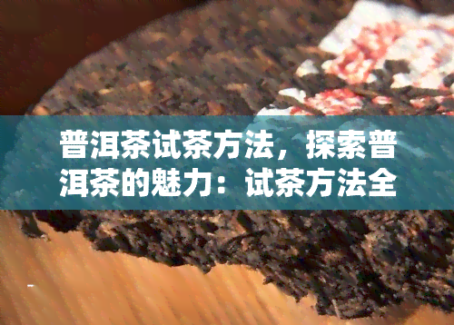 普洱茶试茶方法，探索普洱茶的魅力：试茶方法全解析