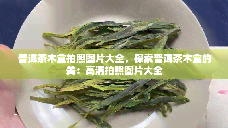 普洱茶木盒拍照图片大全，探索普洱茶木盒的美：高清拍照图片大全