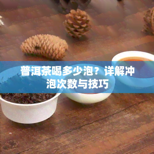 普洱茶喝多少泡？详解冲泡次数与技巧