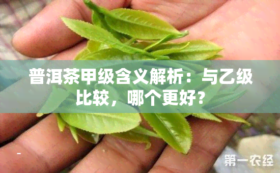 普洱茶甲级含义解析：与乙级比较，哪个更好？