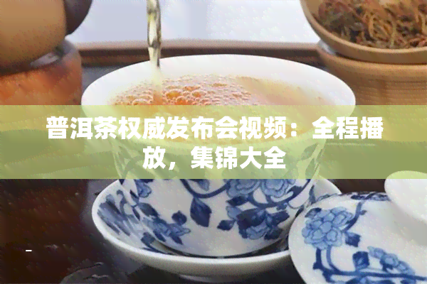 普洱茶权威发布会视频：全程播放，集锦大全