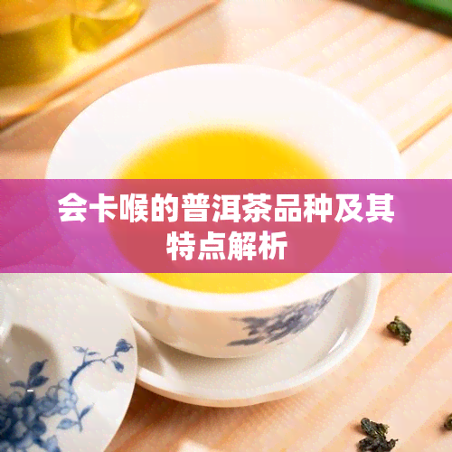 会卡喉的普洱茶品种及其特点解析