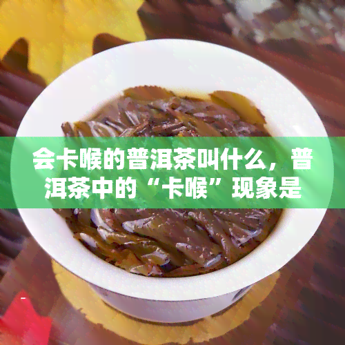 会卡喉的普洱茶叫什么，普洱茶中的“卡喉”现象是什么？