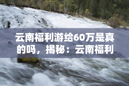 云南福利游给60万是真的吗，揭秘：云南福利游是否真的为60万人提供服务？