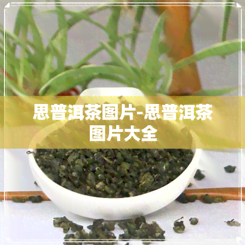 思普洱茶图片-思普洱茶图片大全