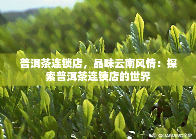 普洱茶连锁店，品味云南风情：探索普洱茶连锁店的世界