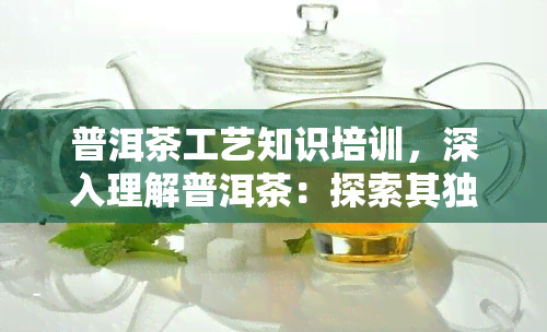 普洱茶工艺知识培训，深入理解普洱茶：探索其独特的制作工艺与知识