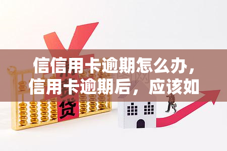 信信用卡逾期怎么办，信用卡逾期后，应该如何处理？