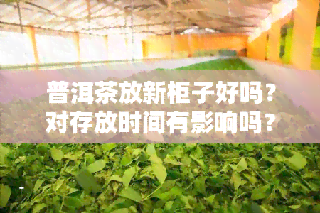 普洱茶放新柜子好吗？对存放时间有影响吗？