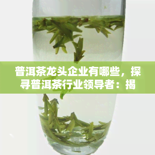 普洱茶龙头企业有哪些，探寻普洱茶行业领导者：揭秘普洱茶龙头企业