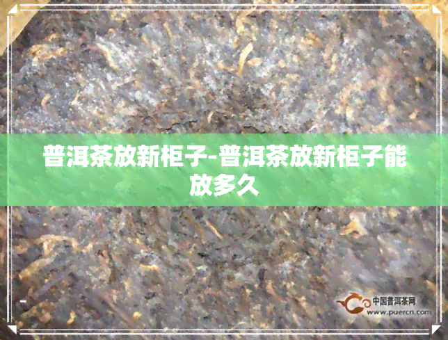 普洱茶放新柜子-普洱茶放新柜子能放多久