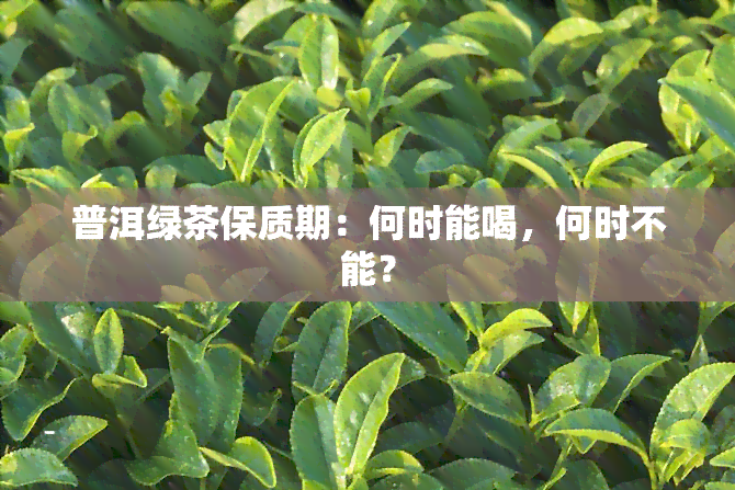 普洱绿茶保质期：何时能喝，何时不能？