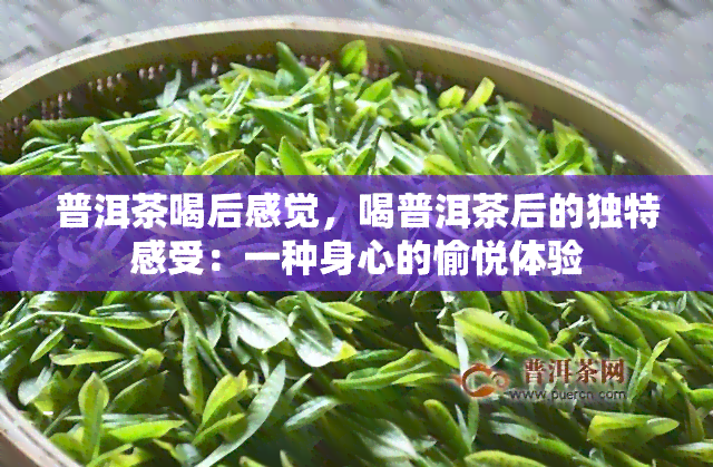 普洱茶喝后感觉，喝普洱茶后的独特感受：一种身心的愉悦体验