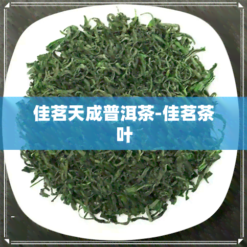 佳茗天成普洱茶-佳茗茶叶