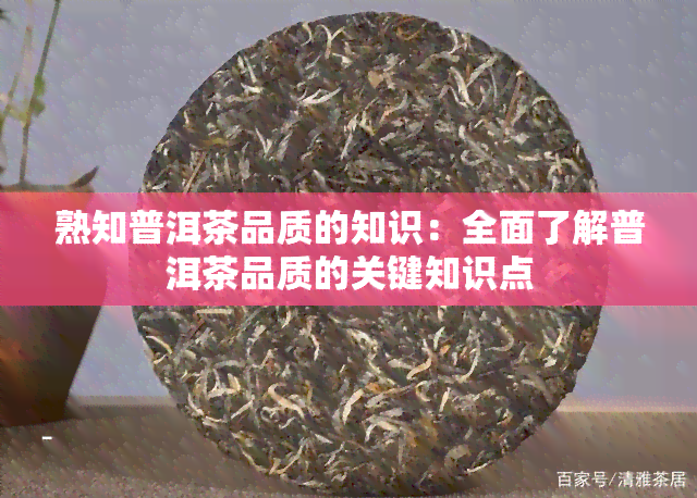 熟知普洱茶品质的知识：全面了解普洱茶品质的关键知识点