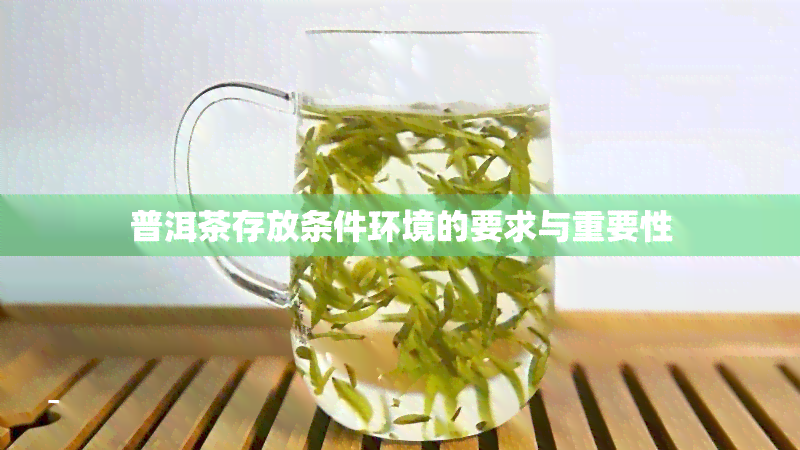 普洱茶存放条件环境的要求与重要性