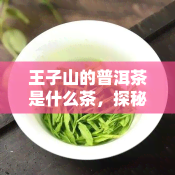 王子山的普洱茶是什么茶，探秘王子山：揭秘其普洱茶品种与特点