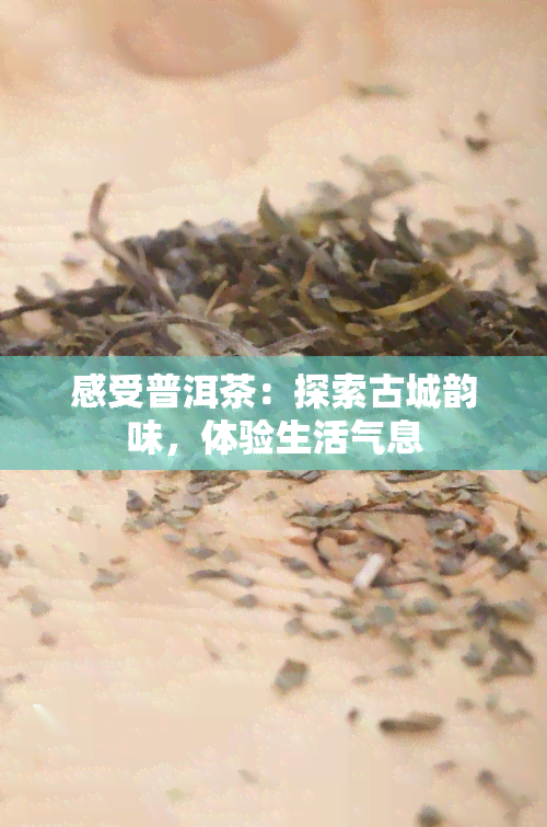 感受普洱茶：探索古城韵味，体验生活气息