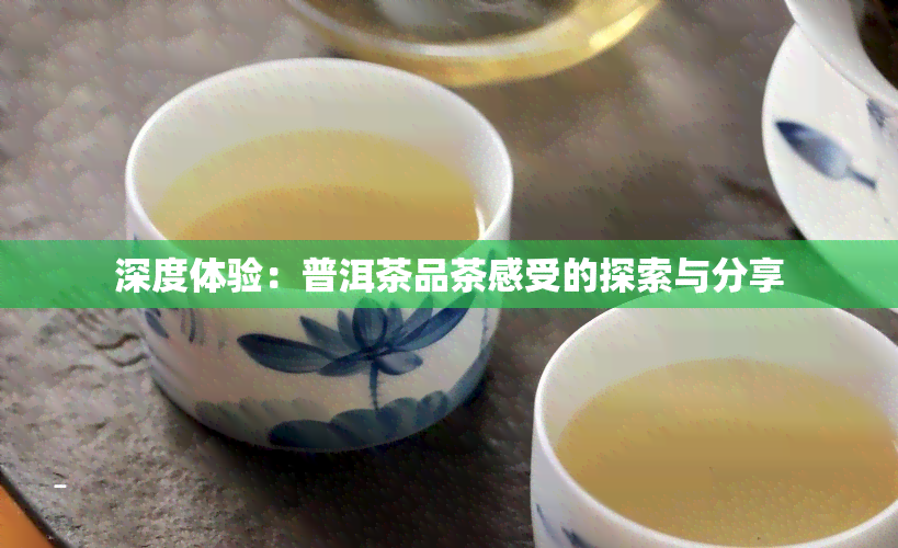 深度体验：普洱茶品茶感受的探索与分享