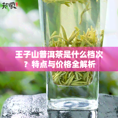 王子山普洱茶是什么档次？特点与价格全解析