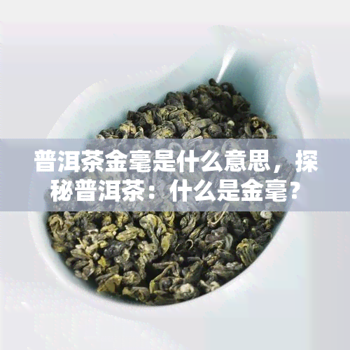 普洱茶金毫是什么意思，探秘普洱茶：什么是金毫？