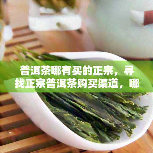 普洱茶哪有买的正宗，寻找正宗普洱茶购买渠道，哪里可以买到真正的普洱茶？