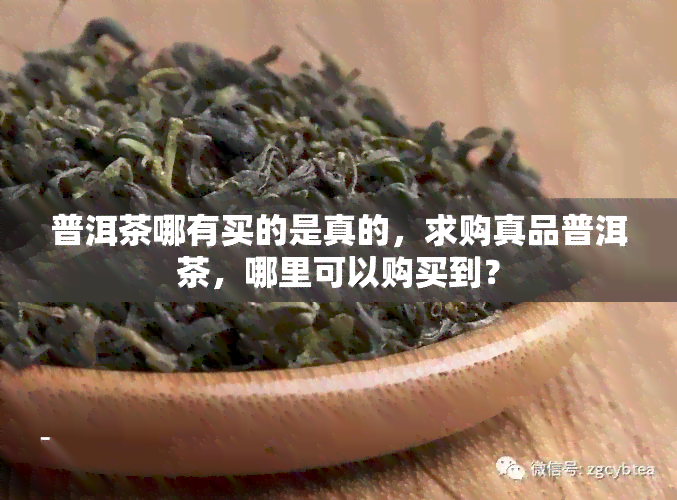 普洱茶哪有买的是真的，求购真品普洱茶，哪里可以购买到？