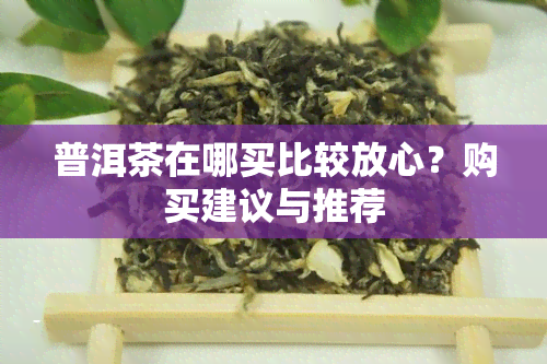 普洱茶在哪买比较放心？购买建议与推荐